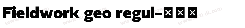 Fieldwork geo regul字体转换